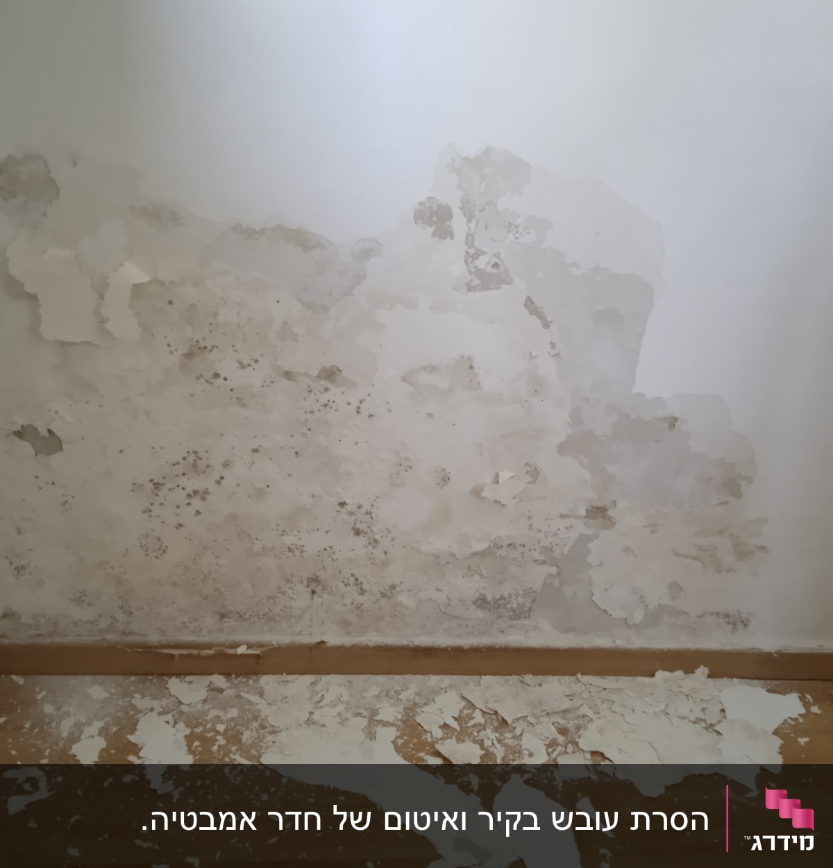 קיר עם טיח מתקלף ונזקי רטיבות